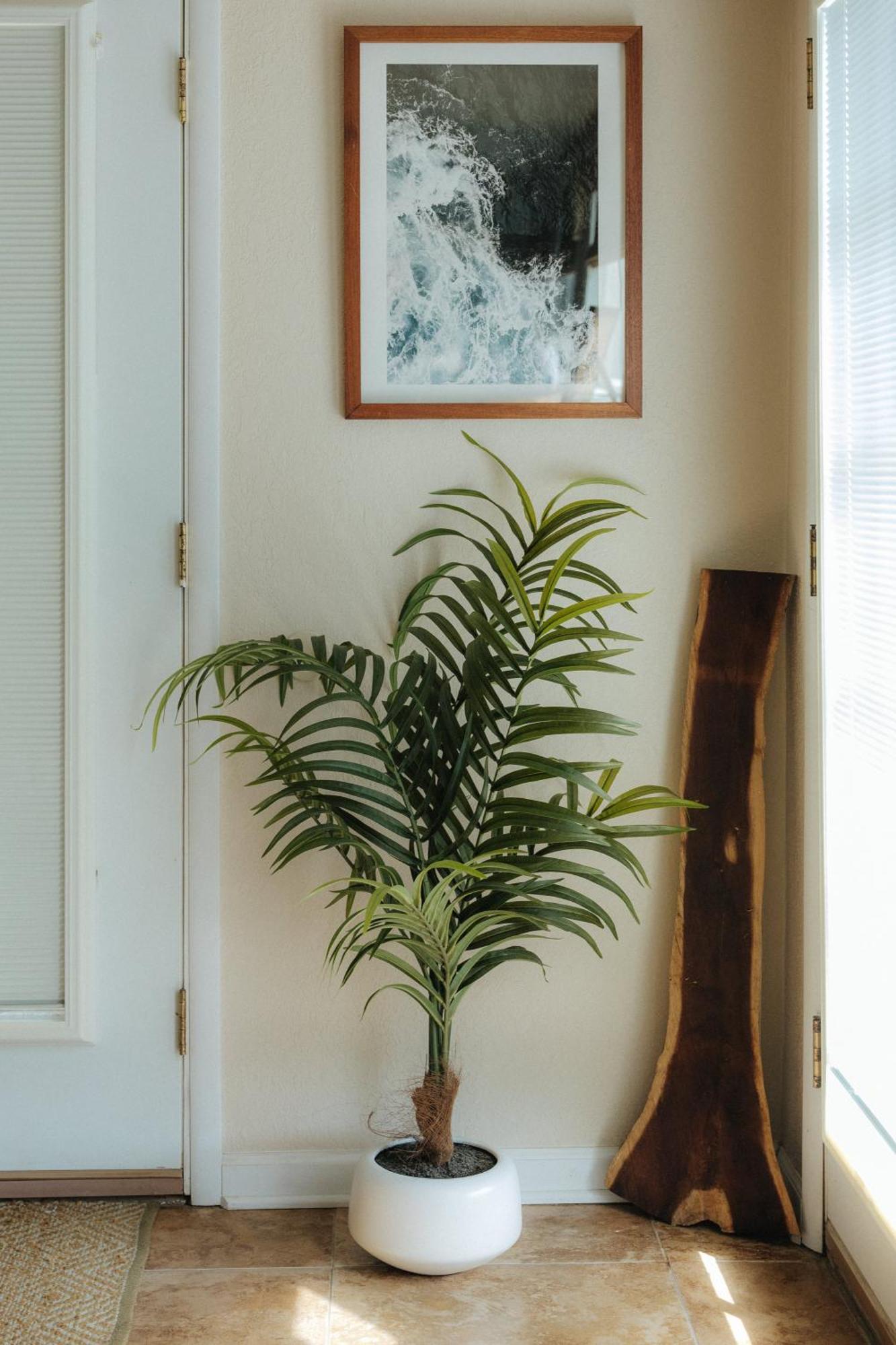 The Ohia At The Koi House Διαμέρισμα Καϊλούα-Κόνα Εξωτερικό φωτογραφία
